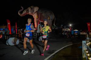 BIB: 
                            <button type="button" onclick="openModal(26551819)" class="btn btn-primary btn-sm float-right btn-popup" data-toggle="modal" data-target=".modal-high-quality">
                        <i class="fas fa-shopping-cart"></i> Add to Cart
                    </button>
                                            <button type="button" onclick="isThisMe(26551819, true)" class="btn btn-success btn-sm float-right btn-popup btn-isme hidden" data-toggle="tooltip" data-placement="bottom" title="นี่คือรูปของคุณใช่ไหม คลิกที่นี่เพื่อเอาเข้าอัลบั้ม">
                        <i class="fas fa-plus"></i> Add to album
                    </button>
                    <button type="button" onclick="isThisMe(26551819, false)" class="btn btn-warning btn-sm float-right btn-popup btn-isnotme hidden">
                        <i class="fas fa-ban"></i> Remove from album
                    </button>